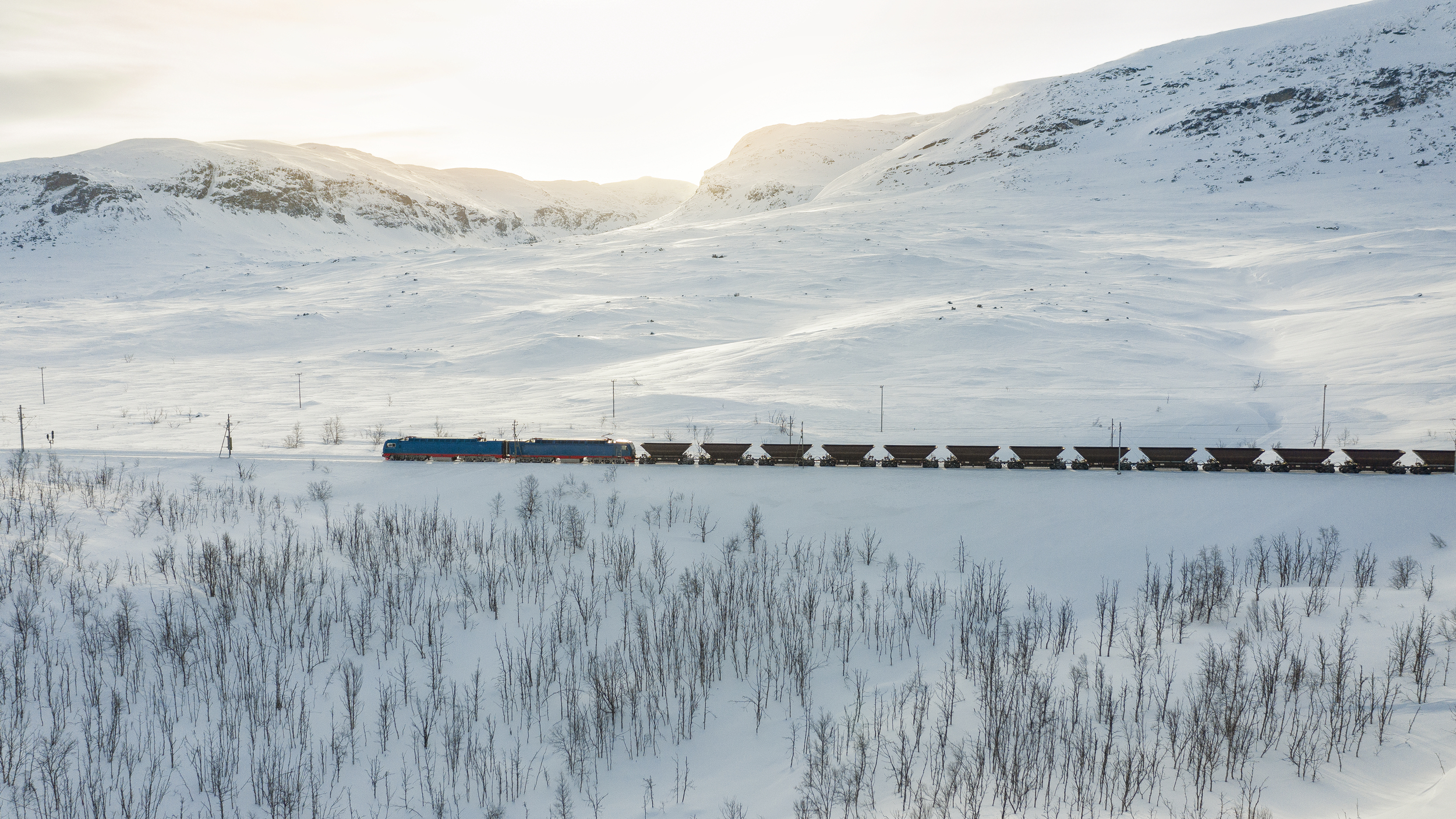Ett malmtåg med många vagnar i fjällen